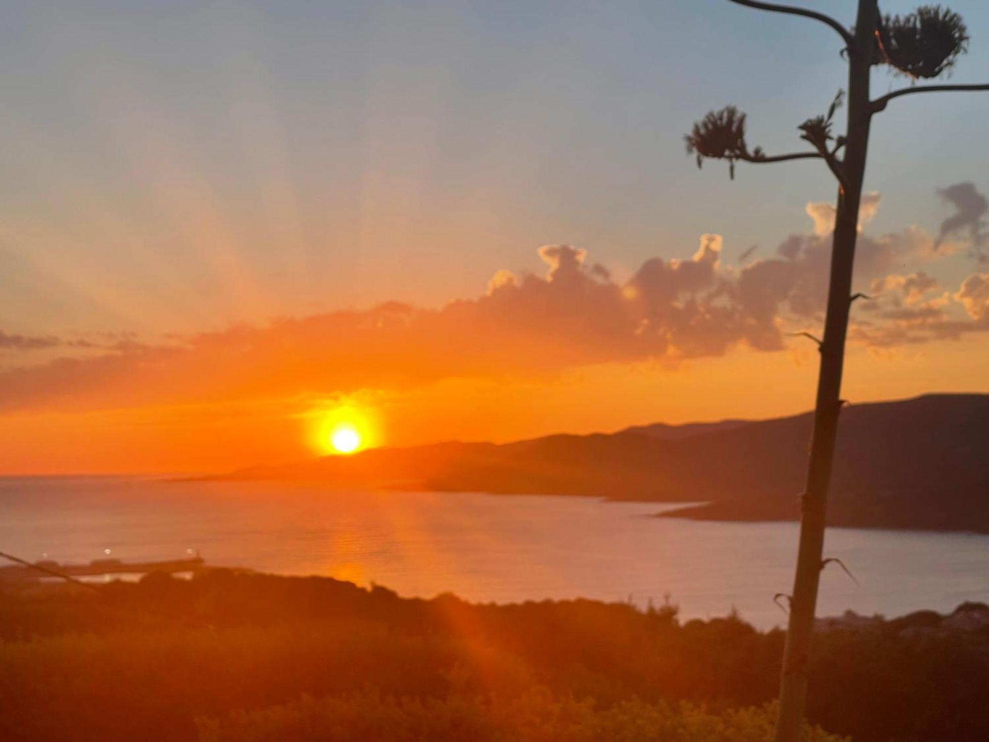 Résidence île de beauté Propriano  Extérieur photo
