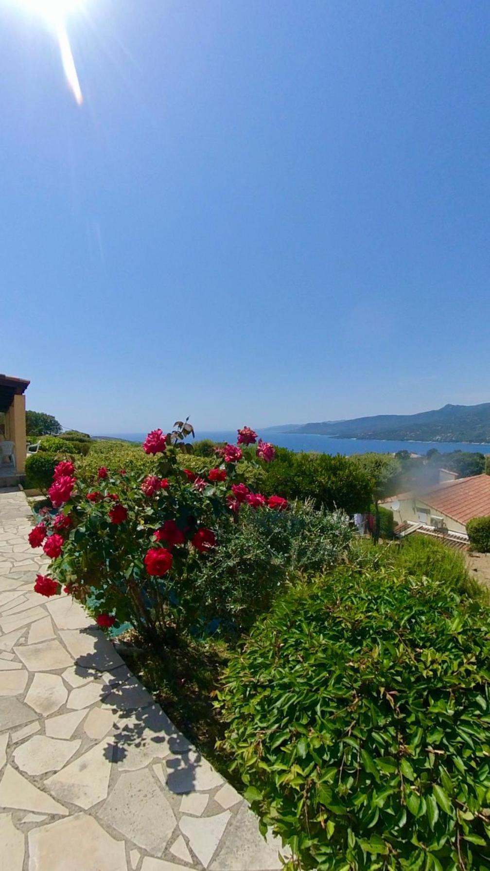 Résidence île de beauté Propriano  Extérieur photo